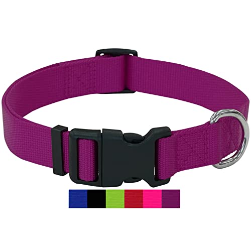 DEY - Premium Hundehalsband Nylon | Verstellbar | für Kleine u. Große Hunde | viele Farben u. Größen | Hund Katze Welpe | Hunde-Halsbänder | Katzen-Halsband | Welpen-Halsband | Lila, L von DEY