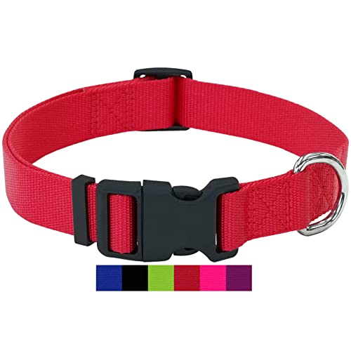 DEY - Premium Hundehalsband Nylon | Verstellbar | für Kleine u. Große Hunde | viele Farben u. Größen | Hund Katze Welpe | Hunde-Halsbänder | Katzen-Halsband | Welpen-Halsband | Rot, L von DEY