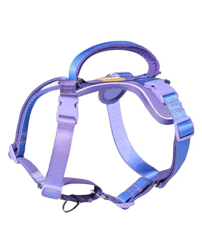 DF Freedom Martingale-Hundegeschirr, sanfte Kontrolle, kein Würgen, Frontclip-Geschirr mit reflektierendem, 5-Punkt-verstellbarem und Sicherheitsgriff, Regenbogen, 1,9 cm, Brustumfang 56,9 cm – 77,2 von DF