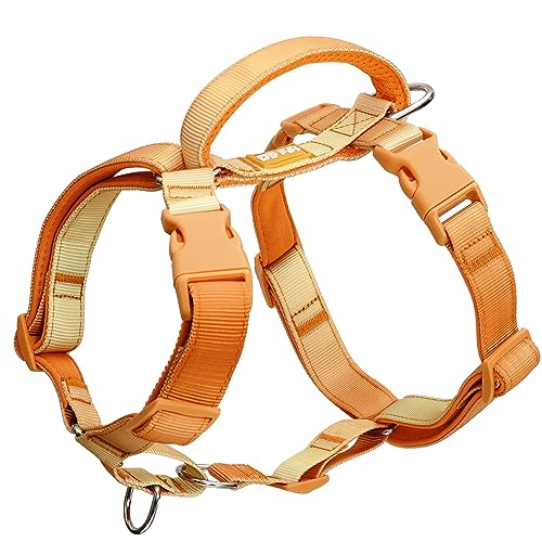 DF Freedom Martingale-Hundegeschirr, kein Ziehen, einfacher Griff, ausbruchsicher, 5-Punkt-Hundegeschirr, anpassbare Passform, mit Clip vorne und hinten, einfaches Gehen und Training, Orange, von DF