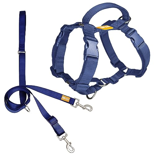 DF Martingale Hundegeschirr ohne Ziehen, Zwei-Punkt-Kontrolle, Trainingsleine für Spaziergänge mit dem Hund, funktioniert nur mit Martingale-Geschirre, Dunkelmarineblau, Brustumfang 48,3 - 55,9 cm von DF