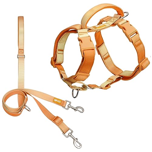 DF Martingale Hundegeschirr ohne Ziehen, Zwei-Punkt-Kontrolle, Trainingsleine für Spaziergänge mit dem Hund, funktioniert nur mit Martingale-Geschirre, Orange, Brustumfang 55,9 cm - 71,1 cm von DF