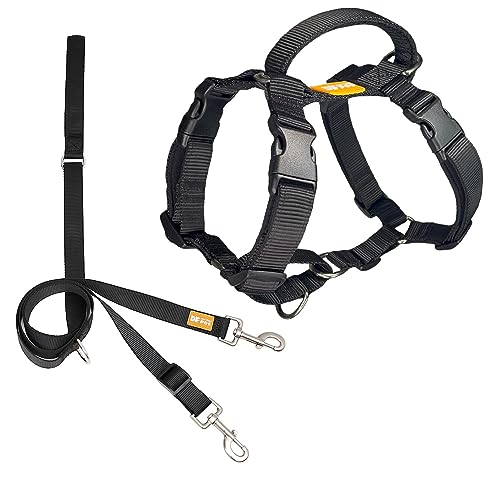 DF Martingale Hundegeschirr und Zwei-Punkt-Kontrolle, Trainingsleine für Spaziergänge mit dem Hund, funktioniert nur mit Martingale-Geschirre, schwarz, Brustumfang 48,3 cm - 55,9 cm von DF