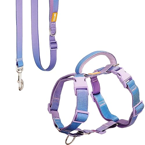 DF Martingale Hundegeschirr und verstellbare Leine, kein Ziehen, ausbruchsicher, vollständig anpassbare Passform, mit Frontclip und weich gepolstertem Griff, Regenbogen, Brustumfang 84-108 cm von DF