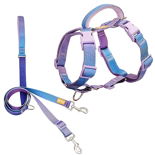 DF Martingale No Pull Hundegeschirr und Zwei-Punkt-Kontroll-Trainingsleine für Spaziergänge mit dem Hund, funktioniert nur mit Martingale-Geschirr, Regenbogen, Brustumfang 83,8 cm - 108 cm von DF