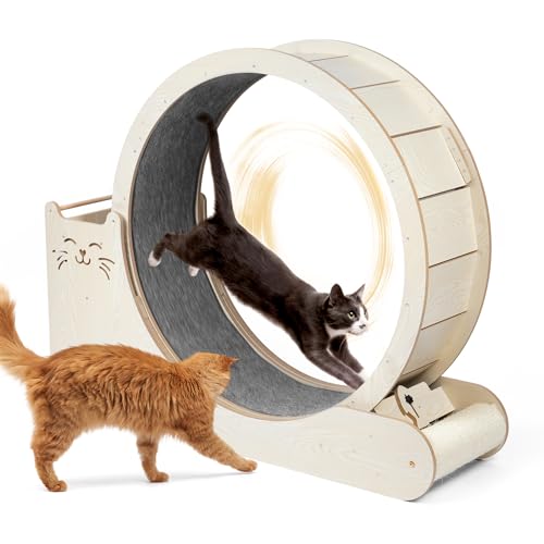 DFENG Katzenlaufrad 3 in 1 Katzen Laufrad Holz 100cm Durchmesser Großes Laufrad Für Katzen mit Griffpads Sperrvorrichtung und TPE Silent Wheel Katzenlaufrad für Katzen Drinnen Cat Wheel 20-30kg von DFENG