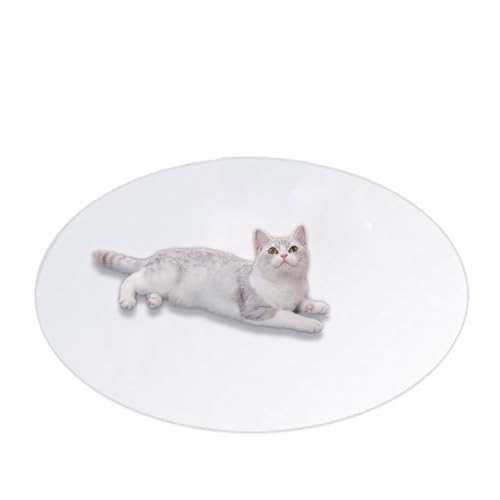 Bodenschutz für Haustiere, transparenter PVC-Katzenteppich, Kratzmatte, rund, wiederverwendbar, Welpenunterlagen, wasserdichte Haustier-Spielunterlagen für Hunde und Katzen (Durchmesser 40 cm, von DG Catiee