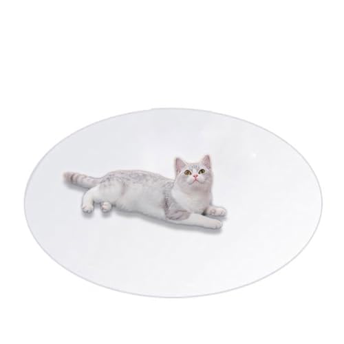 Bodenschutz für Haustiere, transparenter PVC-Katzenteppich, Kratzmatte, rund, wiederverwendbar, Welpenunterlagen, wasserdichte Haustier-Spielunterlagen für Hunde und Katzen (Durchmesser 90 cm, Bodenschutz für Haustiere, transparenter PVC-Katzenteppich, Kratzmatte, rund, wiederverwendbar, Welpenunterlagen, wasserdichte Haustier-Spielunterlagen für Hunde und Katzen (Durchmesser 90 cm, von DG Catiee