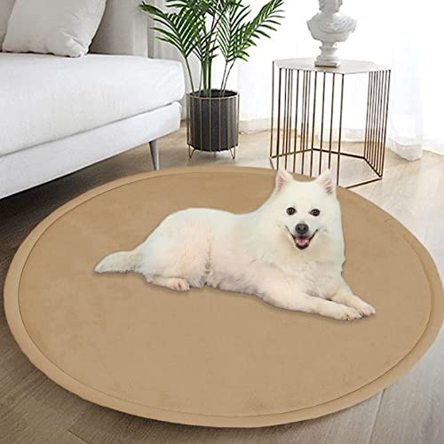 DG Catiee Extra große Hundebettmatte, runde Korallen-Samt-Hunde-Isomatte, rutschfeste, weiche Hundeboxenmatte für kleine, mittelgroße und große Hunde und Katzen (rund, 100 cm, beige) von DG Catiee