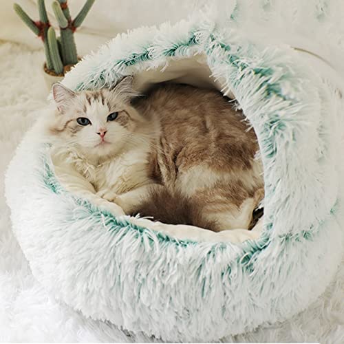 DG Catiee Katzenhöhle, kleines Hundebett, beruhigender Katzenschlafsack, flauschig, warmes Katzen-Iglu-Bett für Innenbereich, Katzen, Welpen, kleine Hunde (Samt-35 cm, grün) von DG Catiee