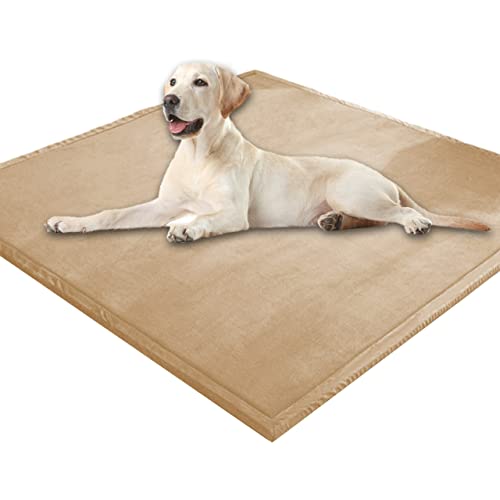 Extra große Hundematratze, weicher Korallen-Samt, Haustiermatte, Anti-Angst, XXL-Hundekissen, Katzen-Schlafmatte für kleine, mittelgroße und große Hunde (100 x 100 cm, Khaki) von DG Catiee