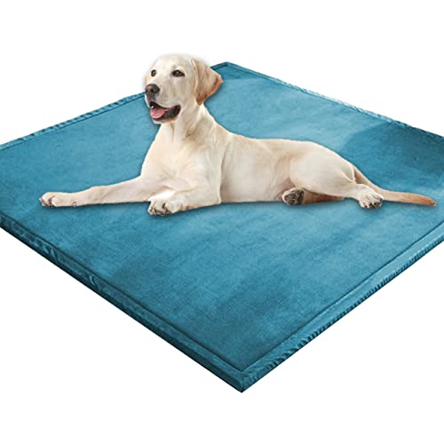 Extra große Hundematratze, weicher Korallen-Samt, Haustiermatte, Anti-Angst, XXL-Hundekissen, Katzen-Schlafmatte für kleine, mittelgroße und große Hunde (110 x 110 cm, Cyan) von DG Catiee