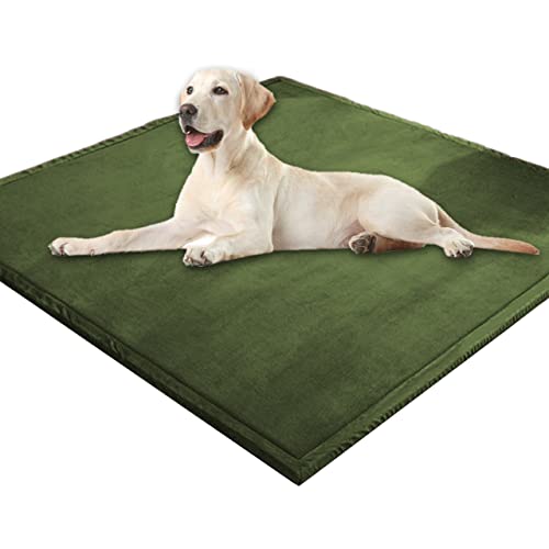 Extra große Hundematratze, weicher Korallen-Samt, Haustiermatte, Anti-Angst, XXL-Hundekissen, Katzen-Schlafmatte für kleine, mittelgroße und große Hunde (110 x 110 cm, grünB) von DG Catiee