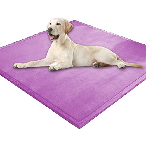 Extra große Hundematratze, weicher Korallen-Samt, Haustiermatte, Anti-Angst, XXL-Hundekissen, Katzen-Schlafmatte für kleine, mittelgroße und große Hunde (110 x 110 cm, lila) von DG Catiee