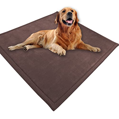 Großes Hundebett, Haustiermatte, weicher warmer Korallensamt, rutschfester Teppich, beruhigend, für den Innenbereich, waschbar, 100 x 100 cm, Braun von DG Catiee