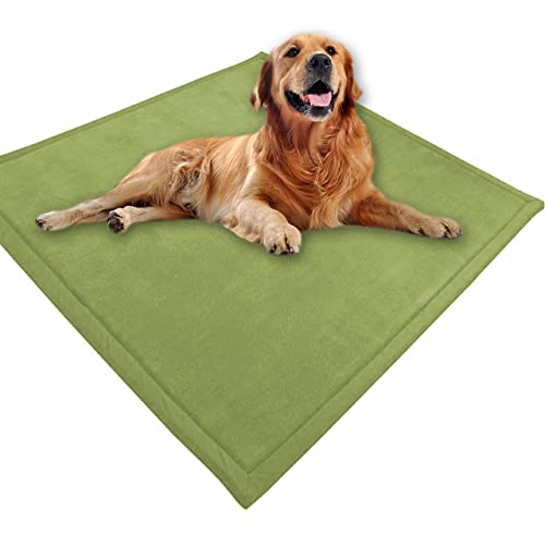 Großes Hundebett, Haustiermatte, weicher warmer Korallensamt, rutschfester Teppich, beruhigend, für den Innenbereich, waschbar, 130 x 100 cm, Grün von DG Catiee