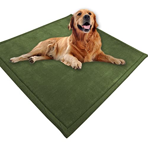 Großes Hundebett, Haustiermatte, weicher warmer Korallensamt, rutschfester Teppich, beruhigend, für den Innenbereich, waschbar, Hundekissen, Bodenmatte (150 x 90 cm, Dunkelgrün) von DG Catiee