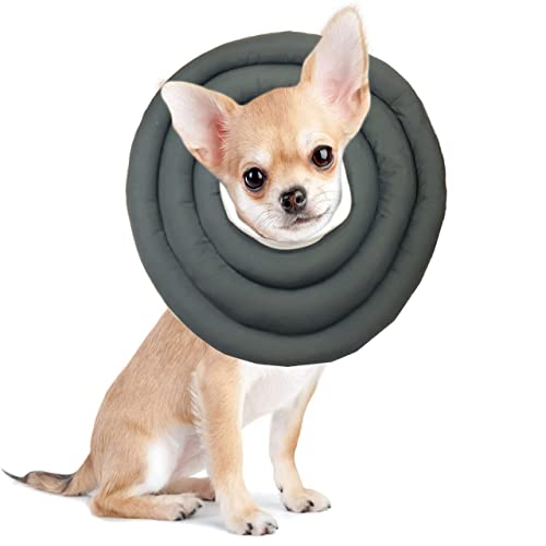 Haustier-Schutzhalsband, verstellbar, für Genesung, weiches Donut-Halsband für Katzen, Kätzchen, Welpen, Hunde, 60 cm - 1 Stück, Grün von DG Catiee