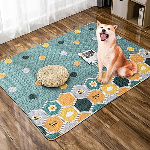 Haustierunterlagen für Welpen, Trainingspads, waschbar, wiederverwendbar, rutschfest, wendbar, für Katzen, Hunde, Welpen, Kätzchen (150 x 210 cm, D) von DG Catiee