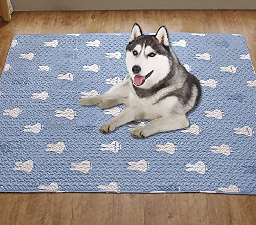 Hunde-Pad-Matten, Haustier-Pads, Welpen-Trainingspads, waschbar, langlebig, Kühlmatte für Haustiere, beruhigende Katze, Schlafmatte, ungiftig, universelle Haustiermatte (50 x 70 cm, G) von DG Catiee