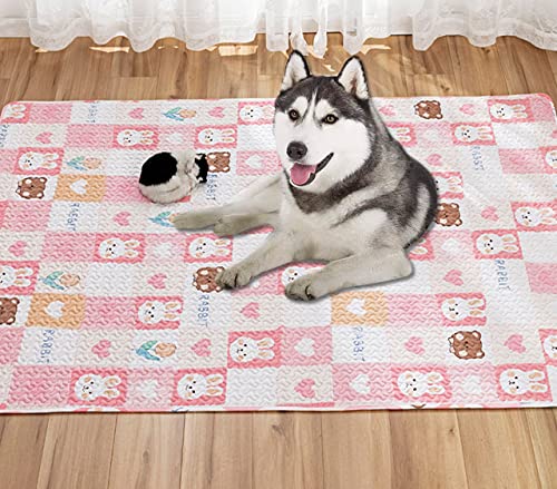 Hunde-Pad-Matten, Haustier-Pads, Welpen-Trainingspads, waschbar, langlebig, Kühlmatte für Haustiere, beruhigende Katze, Schlafmatte, ungiftig, universelle Haustiermatte (70 x 210 cm, B) von DG Catiee