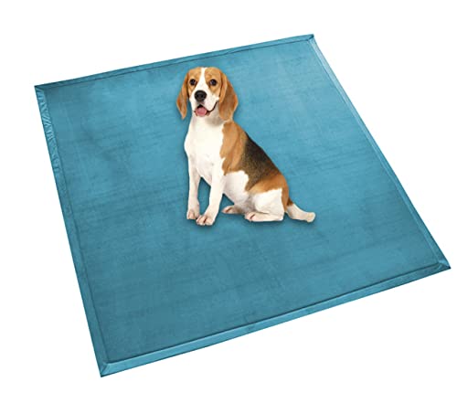 Hundebett-Matratze, extra große Hundeunterlage, weiches Fleece, bequeme Haustiermatte, beruhigende Hunde- und Katzen-Schlafmatte, rutschfest, waschbar, Hundekissen (100 x 60 cm, Cyan) von DG Catiee