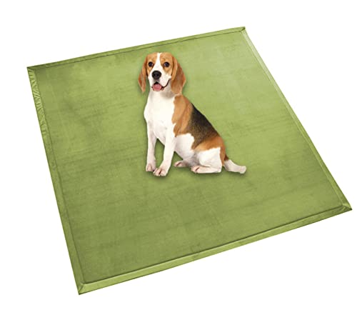 Hundebett-Matratze, extra große Hundeunterlage, weiches Fleece, bequeme Haustiermatte, beruhigende Hunde- und Katzen-Schlafmatte, rutschfest, waschbar, Hundekissen (100 x 70 cm, grünA) von DG Catiee