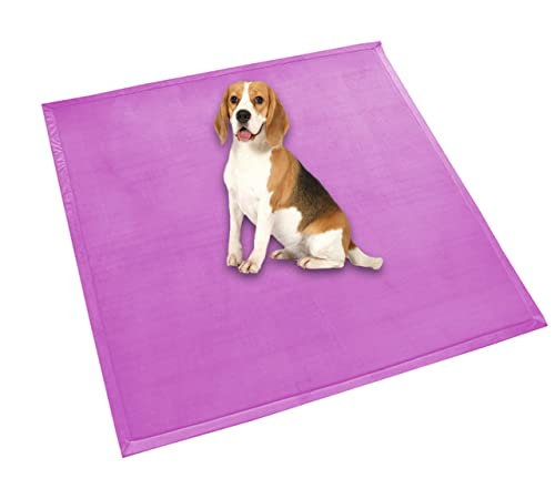 Hundebett-Matratze, extra große Hundeunterlage, weiches Fleece, bequeme Haustiermatte, beruhigend, für Hunde und Katzen, rutschfest, waschbar, Hundekissen (60 x 45 cm, Violett) von DG Catiee