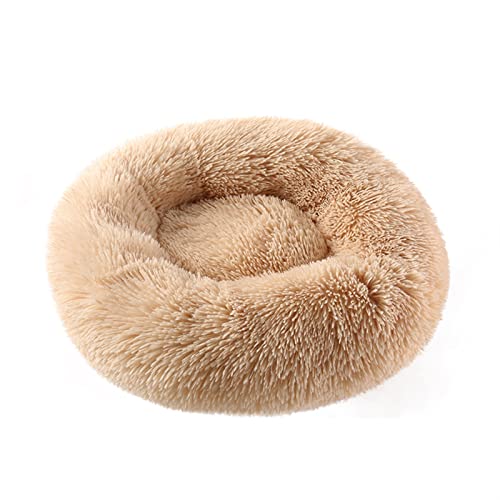 DGOINGPI Hundebett Donuts Hundebettkorb Beruhigungsbett Haustierhütte Katzenhaus Kuschelkatzenbetten für kleine große Hunde Katzenbett(Apricot,S 50cm) von DGOINGPI