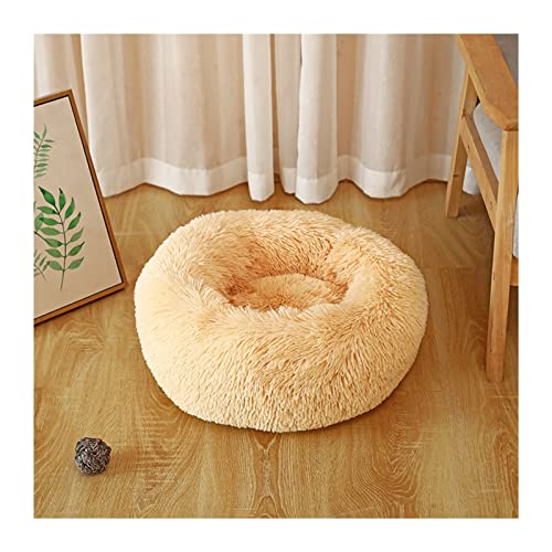 DGOINGPI Hundebett Hundebett Plüsch Katzenmatte Hundebetten für große Hunde Haustierhütte Sofa für Hundekorb Haustier Katzenbett Hund Katzenbett(Apricot,100cm) von DGOINGPI