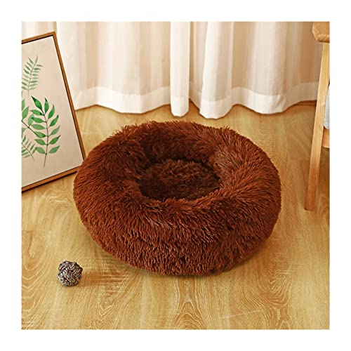 DGOINGPI Hundebett Hundebett Plüsch Katzenmatte Hundebetten für große Hunde Haustierhütte Sofa für Hundekorb Haustier Katzenbett Hund Katzenbett(Dark Brown,50cm) von DGOINGPI