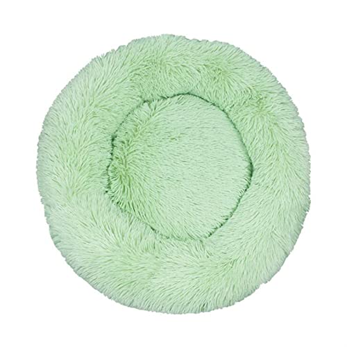 DGOINGPI Hundebett Langes Plüsch-superweiches Schlafsofa, waschbares, buntes, rundes Bett, Winter, warme Hunde- und Katzenschlafmatte Katzenbett(Light Green,40CM) von DGOINGPI