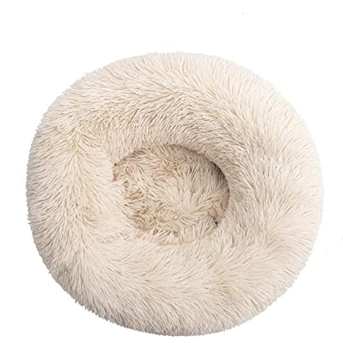 DGOINGPI Hundebett Langes Plüsch-superweiches Schlafsofa, waschbares, buntes, rundes Bett, Winter, warme Hunde- und Katzenschlafmatte Katzenbett(Warm White,30CM) von DGOINGPI