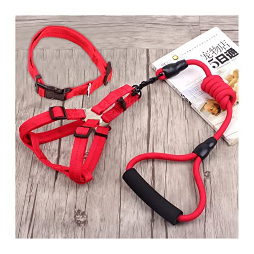 Hundeleine 3-teiliges Set Heimtierbedarf Sicherheitsseil Hundeleine Halsband Set Traktionsseil Brustgeschirr Schleppleine für Hunde(3 Set Red,M) von DGOINGPI