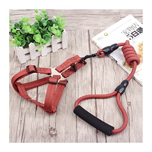 Hundeleine 3-teiliges Set Heimtierbedarf Sicherheitsseil Hundeleine Halsband Set Traktionsseil Brustgeschirr Schleppleine für Hunde(Brown Leash Harness,XS) von DGOINGPI