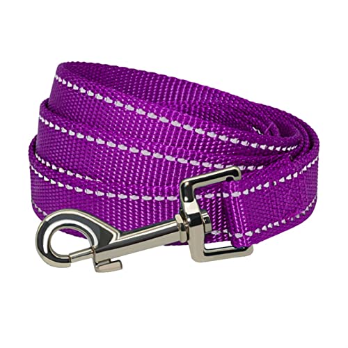 Hundeleine 3M Hundeleine für kleine mittelgroße Hunde im Freien, Hundehalsband und Leine, Haustiere, Katzen, Hundeseil Schleppleine für Hunde(Purple,2.0cm x 150cm) von DGOINGPI