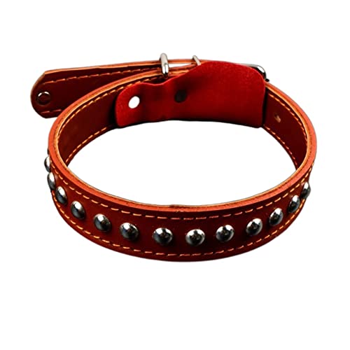 Hundeleine Haustier-Leder-Hundehalsband-Leine für große Hunde Leder-Hundezug-Schleppseil-Kette Schleppleine für Hunde(Brown Collar,L) von DGOINGPI