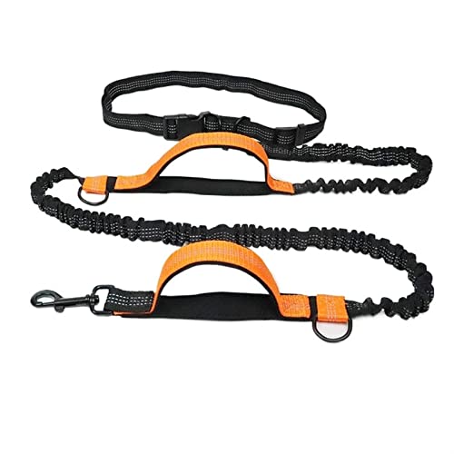 Hundeleine Hunde-Laufgürtel Haustier-Bungee-Leinen Hundetraining für mittelgroße Hundebedarf Schleppleine für Hunde(Astyle orange) von DGOINGPI