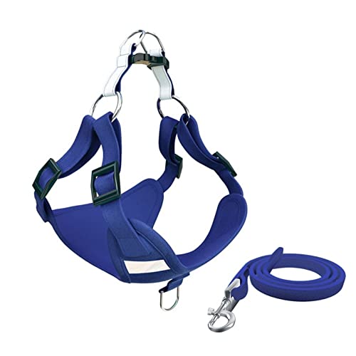 Hundeleine Hundegeschirr, Welpenhalsband, Brustweste, Leine, Haustier-Brustbandgeschirr, Kette für kleine Hunde Schleppleine für Hunde(Blue,XXS (2-4kg)) von DGOINGPI