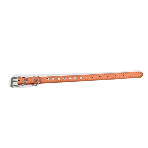 Hundeleine Hundehalsbänder für kleine und mittelgroße Hunde, Strass-Umhängeband, Welpenhalsband, Katzen Schleppleine für Hunde(Orange,M) von DGOINGPI