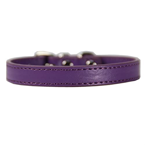 Hundeleine Hundehalsband Heimtierbedarf Großer Hundebedarf Leine Hundehalsband Katzenhalsband Schleppleine für Hunde(Purple,1.0XS) von DGOINGPI