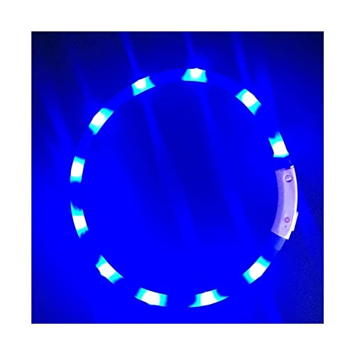 Hundeleine Hundehalsband Sicherheit Haustier Hundehalsbänder Tube Blinkende Nacht Hundeleine Leine Schleppleine für Hunde(Light Strip Blue,M 50cm 19.7inch) von DGOINGPI