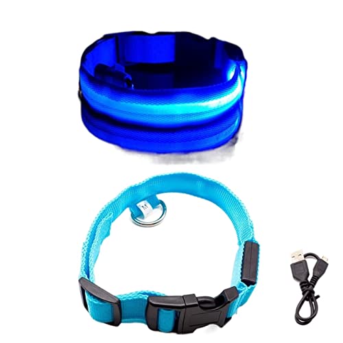 Hundeleine Hundehalsband für Haustiere, Nachtsicherheit, Hundehalsband, Verstellbarer Hundehalsband, Heimtierbedarf Schleppleine für Hunde(Blue USB Charging,XL Neck 52-60 cm) von DGOINGPI