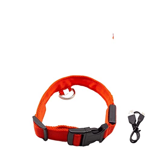 Hundeleine Hundehalsband für Haustiere, Nachtsicherheit, Hundehalsband, Verstellbarer Hundehalsband, Heimtierbedarf Schleppleine für Hunde(Red USB Charging,L Neck 45-52 cm) von DGOINGPI