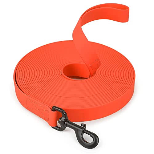 Hundeleine Hundeleine Hundeleine Katzenleine Für kleine große Hunde Welpen Haustierzubehör 1,5 m/5 m/10 m Schleppleine für Hunde(Orange,10Mx2.5x0.25cm) von DGOINGPI