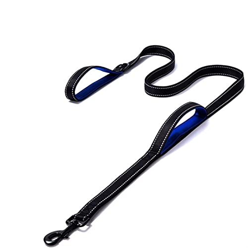 Hundeleine Hundeleine Nylonseil Haustier Laufleine Langleine Welpe Bergsteigen Schleppleine für Hunde(Black Blue,2.5X150CM) von DGOINGPI