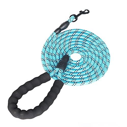 Hundeleine Kleiner großer Welpe Zwei Hundeleine Recall Training Long Lead Mountain Climbing Rope Schleppleine für Hunde(Sky Blue,1.0X200CM) von DGOINGPI