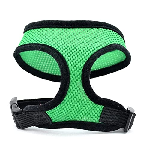 Hundeleine Laufleine für Hündchen, Halsband, Polyester, für kleine, mittelgroße Hunde, Katzen, Haustiere Schleppleine für Hunde(Black Green,XL) von DGOINGPI