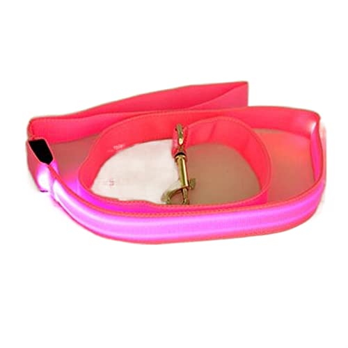 Hundeleine Nylon Light Up Hundeleine Nachtsicherheit Hundehalsband Heimtierbedarf Katze Zeichnen Kleine Leine Schleppleine für Hunde(Pink,Width 25mm) von DGOINGPI