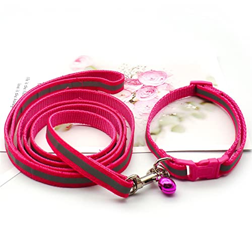 Hundeleine Reflektierende Haustierleine, Kätzchen und Hundehalsband, verstellbares Laufseil-Set, Haustierzubehör Schleppleine für Hunde(Rose Red) von DGOINGPI